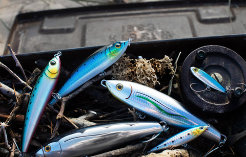 Welcome To Redonkulous Lures – Redonkulous Lures Australia