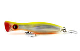 Noeby Popper 160mm 78g - Available in 4 colours - Cozen Lures